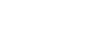 Check Point P Logo stacked white Large