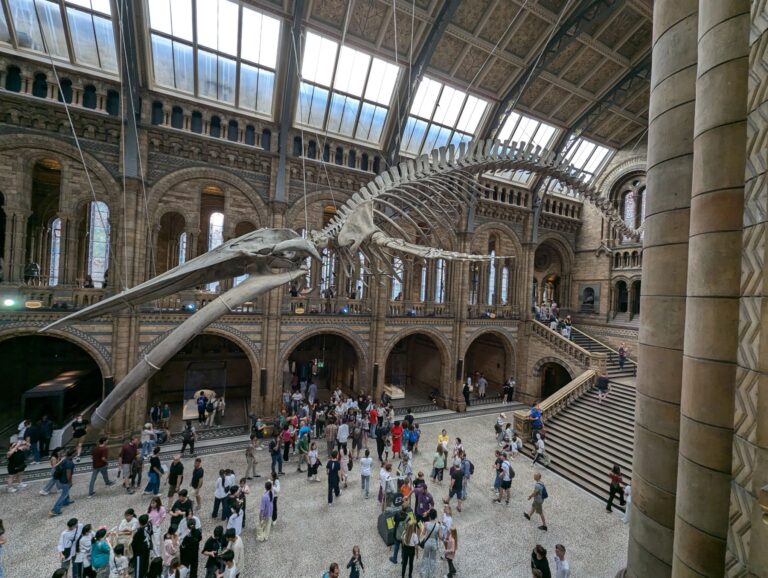 Corin McCourt: "I visited the Natural History Museum, where the exhibits were fascinating, even if the heat was intense!"